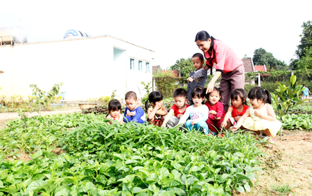 Vườn rau cho các bé