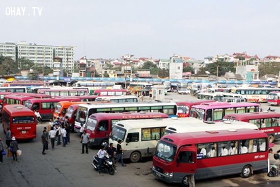 Nghiên cứu bổ sung các phương tiện thuộc loại hình kinh doanh vận tải xe hợp đồng