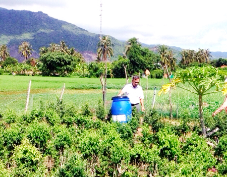 Nâng độ khó về tiêu chí môi trường