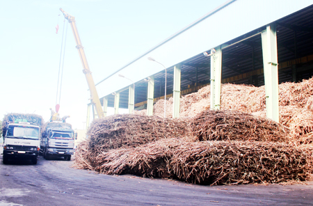 Nhà máy Đường Khánh Hòa đã hoạt động trở lại