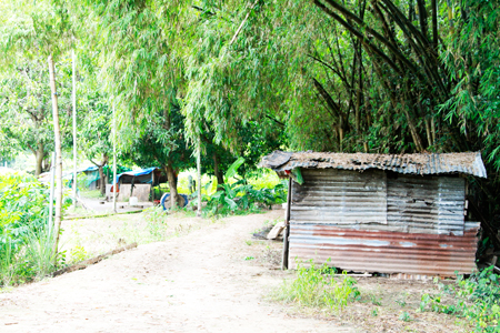Khu vực đất trong Dự án Khu du lịch sinh thái Làng Tre bị người dân tái chiếm, không cho triển khai dự án