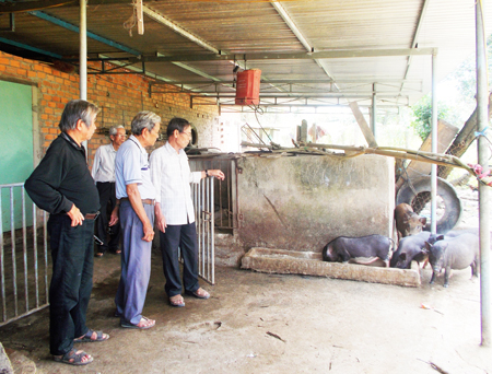 Tích cực chăm lo đời sống hội viên