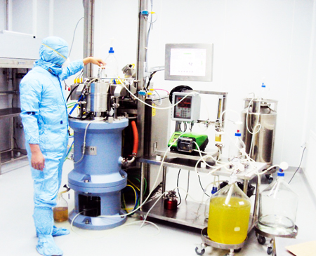 Việt Nam: Sắp có vắc xin phòng, chống cúm A/H5N1