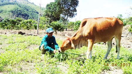 Khánh Sơn: Giúp người dân tránh tái nghèo