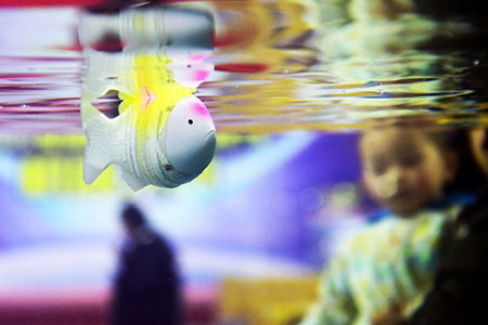 Trung Quốc chế tạo cá robot thân mềm đo độ mặn nước biển