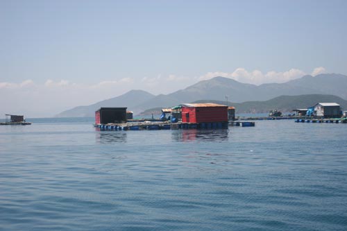 Nha Trang: Không cho tiếp tục kinh doanh dịch vụ ăn uống trên bè nổi