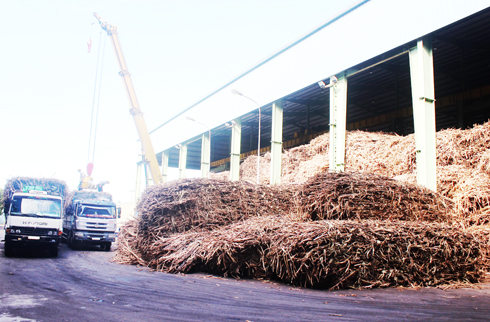 Sự cố môi trường ở Nhà máy Đường Khánh Hòa: Cần sớm khắc phục và đền bù cho dân