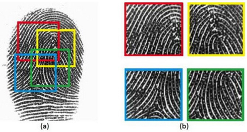 Phát triển vân tay "vạn năng", mở khóa mọi điện thoại