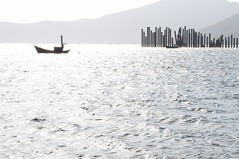 Thống nhất quy hoạch chi tiết 1/500 bến cảng tổng hợp bắc Vân Phong