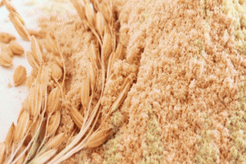 Cám gạo với tinh chất quý ít người biết
