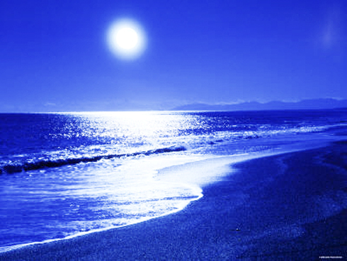 Thương vị biển nồng nàn