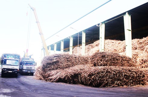 Công ty TNHH Đường Khánh Hòa: Bị phạt hơn 3 tỷ đồng