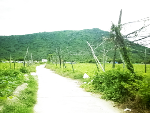 Trụ điện không an toàn