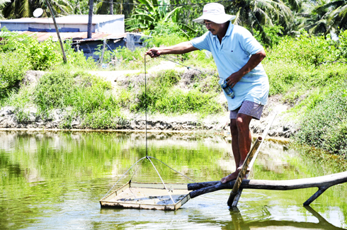 Phục hồi nuôi trồng sau sự cố môi trường