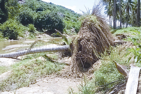 Còn đâu sông Cạn?