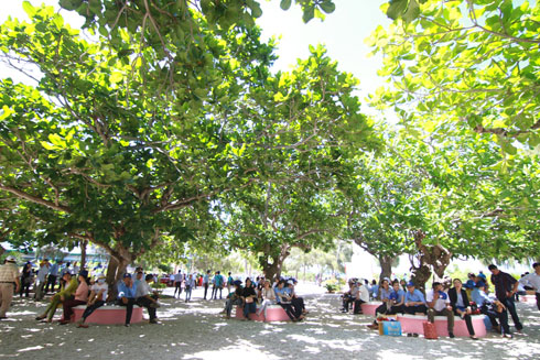 Many staffs of Khanh Hoa Salanganes Nest Company over the country gather on Hon Noi Island to join festival.