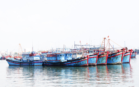 Ứng dụng đèn LED trong khai thác thủy sản