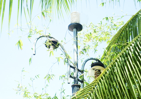 Đèn thắp sáng công viên bị hư hỏng