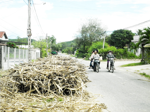 Mía chiếm lòng đường