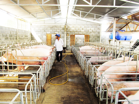 Xã Cam Hiệp Bắc: Phấn đấu đạt chuẩn nông thôn mới