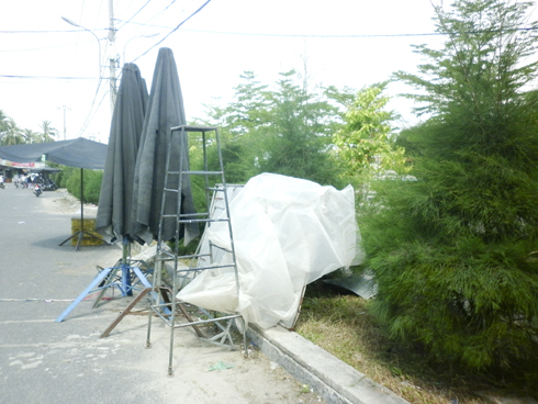 Dựng bảng hiệu làm hư cây xanh