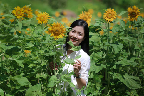Girl posting with sunflowers in Yang Bay