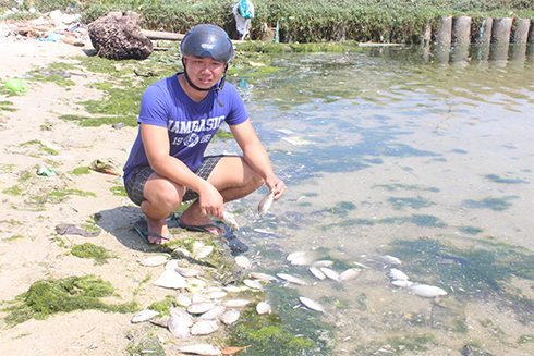 Nhà máy đường Khánh Hòa chi trả bồi thường thiệt hại thủy sản trong tháng 6