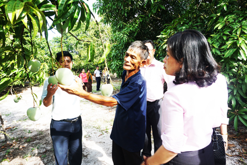 Nguồn vốn cho vay giải quyết việc làm: Cung chưa đủ cầu