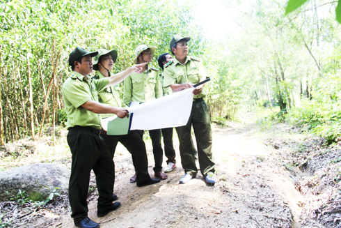 Tập trung phòng, chống cháy rừng