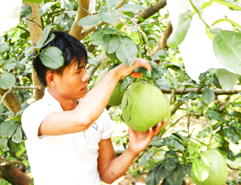 Đề xuất cho nông dân ra nước ngoài học tập