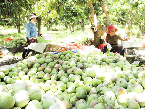 Building trademarks for many farm products