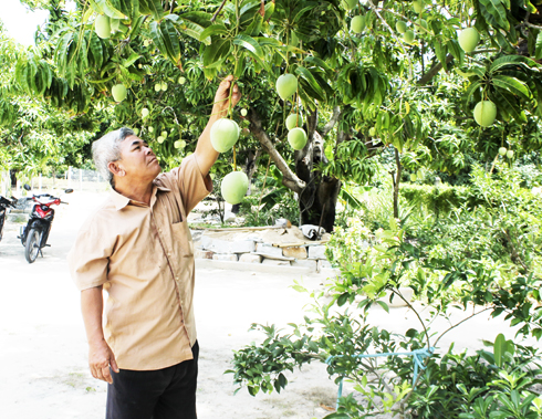 Một nông dân điển hình tiên tiến