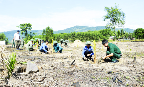 Trồng chuối cho hộ nghèo xã Khánh Hiệp
