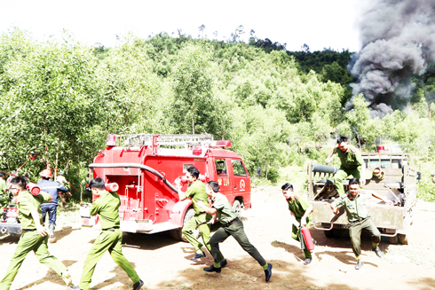 Diễn tập phòng, chống cháy rừng