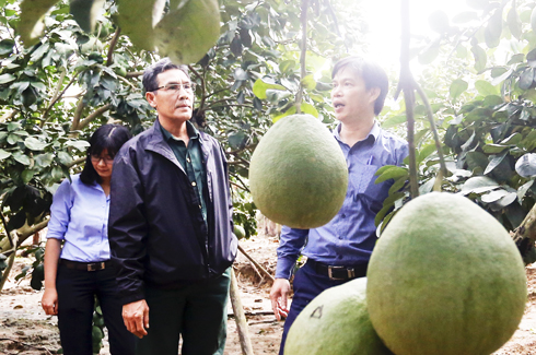 Khánh Vĩnh: Nhiều khó khăn trong xây dựng nông thôn mới