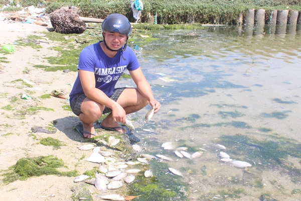 Công ty TNHH Đường Khánh Hòa: Đã bồi thường hơn 5 tỷ đồng cho người dân