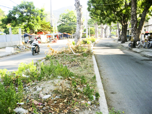 Cần hoàn chỉnh việc nâng cấp đường Thân Nhân Trung