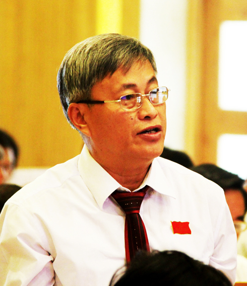 Đại biểu Nguyễn Ngô phát biểu tại phiên họp