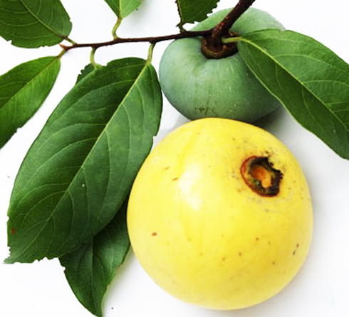 Mùi hương nhuộm màu cổ tích