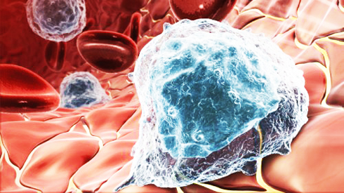 Thử nghiệm thành công vaccine chống ung thư