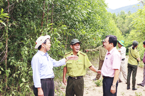 Công tác bảo vệ rừng ở Vạn Ninh: Còn khó khăn