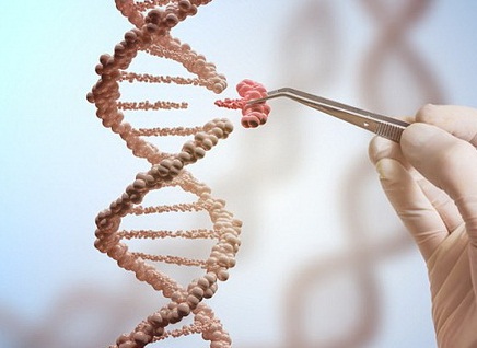 Công cụ chỉnh sửa gene hy vọng mới trong điều trị