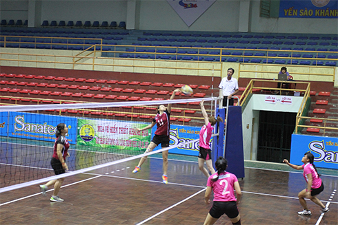 8 đội bóng nam, nữ tranh tài tại giải vô địch bóng chuyền tỉnh