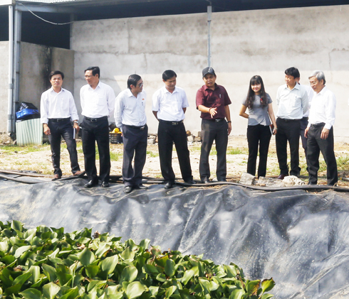 HĐND tỉnh Khánh Hòa: Giám sát nhiều vấn đề cử tri quan tâm