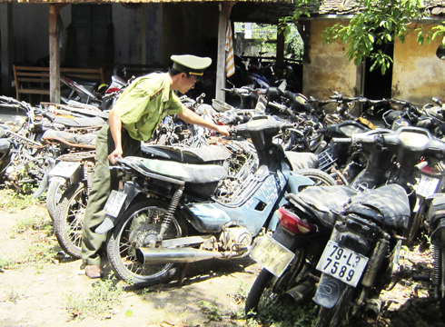 Ninh Hòa: Nỗ lực ngăn chặn nạn xâm hại rừng