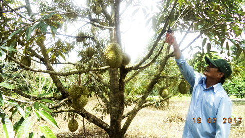 Còn sức là còn cống hiến...