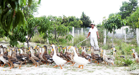 Đổi đời khi chuyển đổi nghề