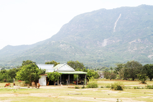 Khu vực núi Tà Lương, nơi được Công ty Cổ phần Khoáng Việt Nha Trang thăm dò, xin cấp phép khai thác đá  nằm sát khu dân cư và nhà cộng đồng thôn