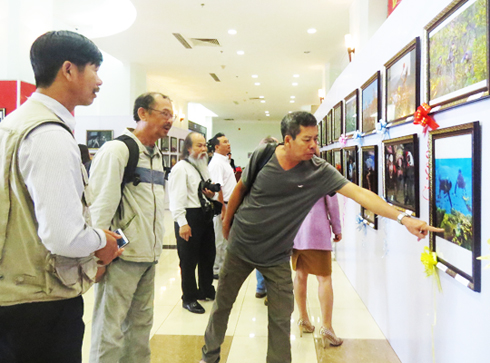 Khánh Hòa đoạt giải tập thể và 1 giải khuyến khích