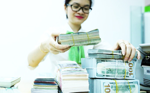 Tỷ giá ngoại tệ ngày 1/8: USD tiếp tục lao dốc